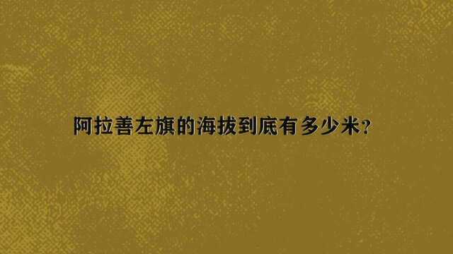 阿拉善左旗的海拔到底有多少米?