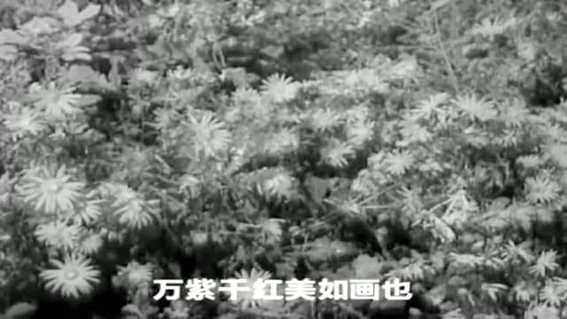 怀旧影视金曲老抗日剧《烽火少年》插曲《做一个革命的小马倌》