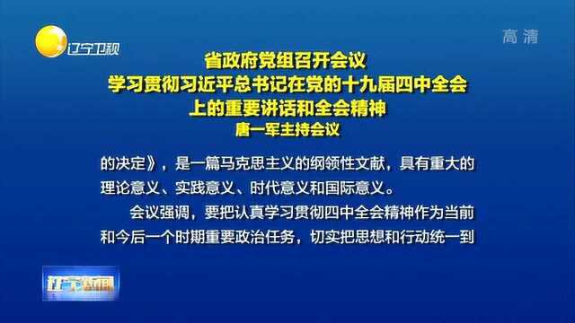 辽宁省政府党组召开会议