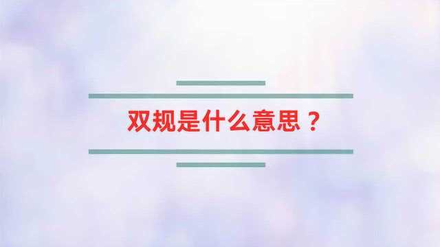 双规是什么意思?