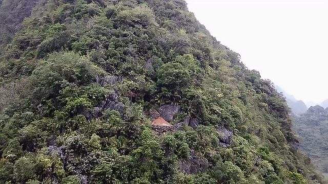 青山上这样1座野墓,坟头多少年都不长草,难道是块福地