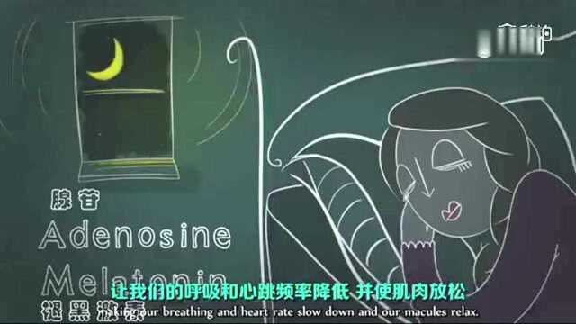 一段TED的短片 告诉你《熬夜的危害》 via生命时报