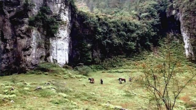 这部武侠巨制才叫拍出了真正的古典韵味:全部实拍,没飞檐走壁