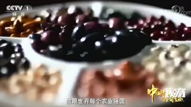 揭秘中国“种质库”,储藏43.5万份种子,位居全球第二