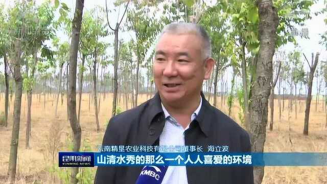 晋宁区:修复采空区生态8000余亩 昔日荒山变成“金山银山”