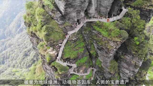 寺庙建在高空的奇葩佛山,路途难以攀登,却吸引无数游客前来游玩