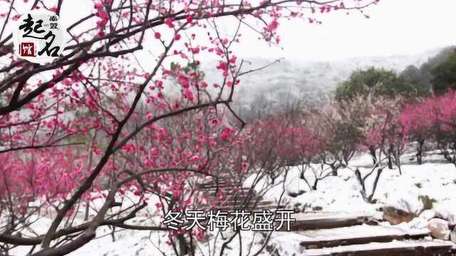 如何根据出生季节取名字?