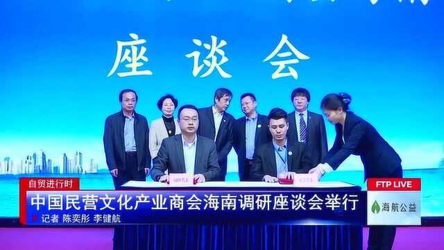 中国民营文化产业商会海南调研座谈会举行