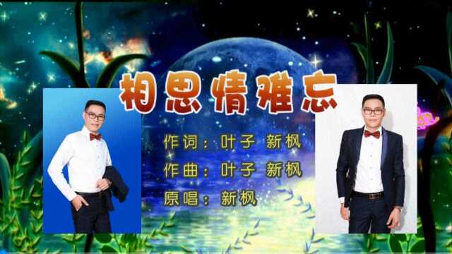 新枫相思情难忘 词曲 叶子 新枫