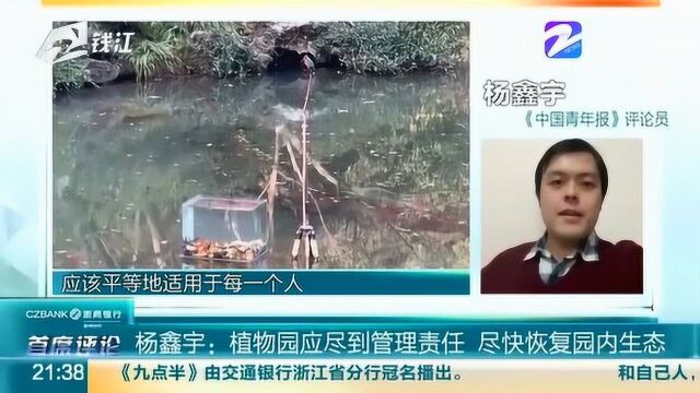 摄影爱好者设鱼缸诱拍翠鸟 评论员:植物园应尽到管理责任尽快恢复园内生态