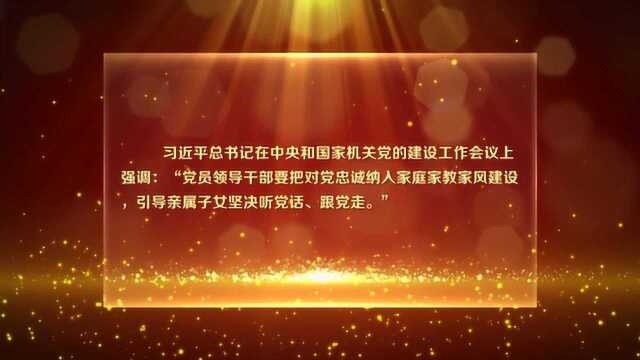 忠诚立德清风常伴廉洁齐家主题实践活动