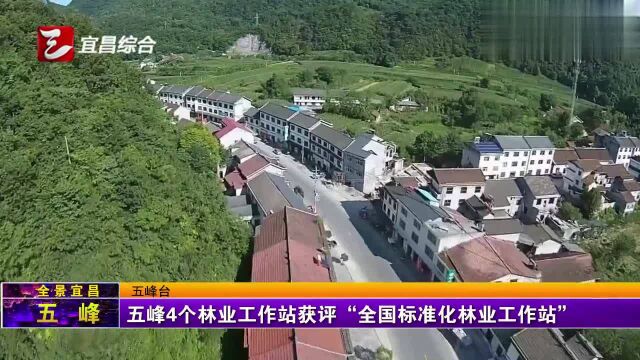 五峰4个林业工作站获评“全国标准化林业工作站”