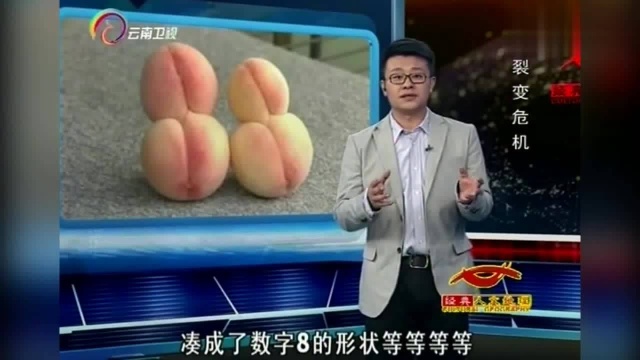 裂变危机:福岛核泄漏后的日本,变异生物随处可见,长相奇特