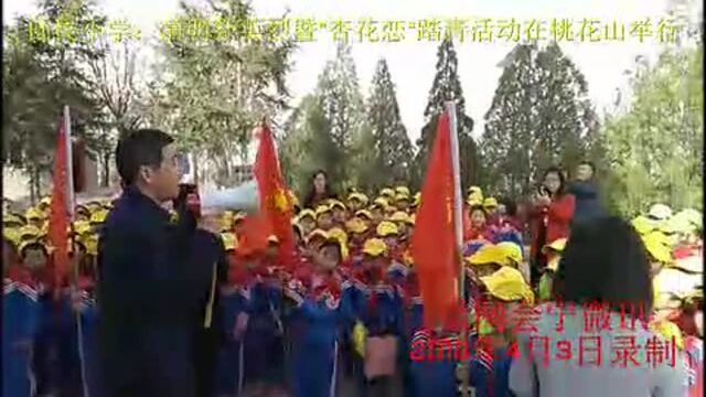 回民小学:清明踏青活动!