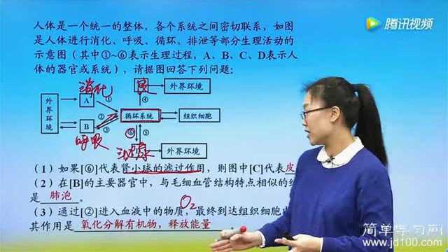 初一生物期末串讲精题 人体各个系统协同!