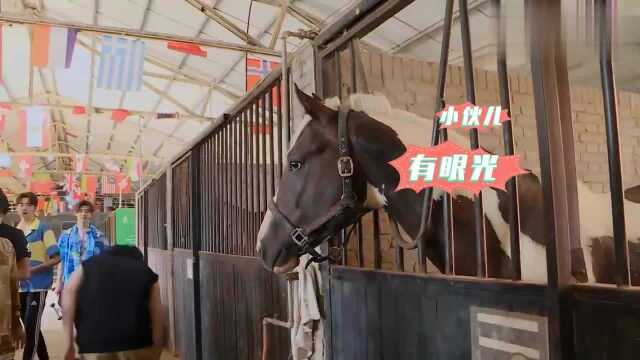 任豪说方言被马听懂?周震南喂马被吓出表情包!