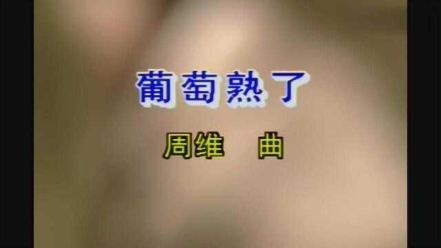 二胡版《葡萄熟了》,听完后你还敢小看二胡吗