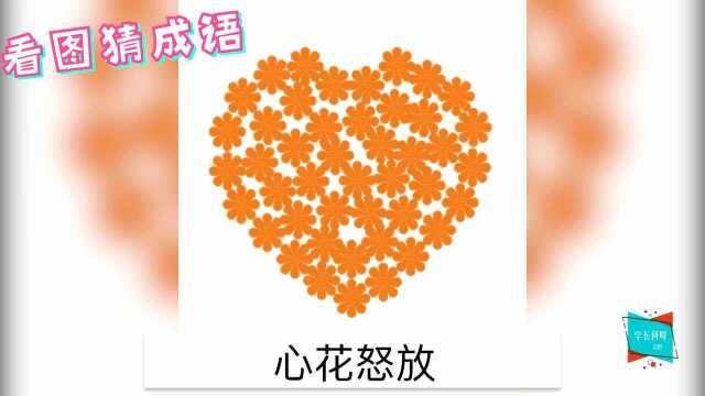 看图猜成语,这个图片是什么成语?小编想了好久也不明白