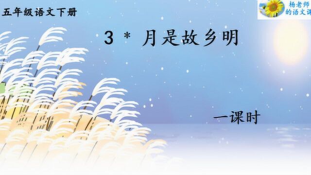 统编版五年级语文下册第3课《月是故乡明》杨老师的语文课