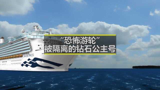 “钻石公主号”136人感染新冠肺炎 3D还原“染病邮轮”始末