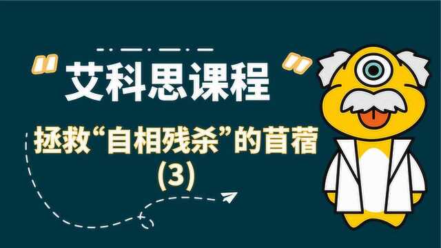 艾科思课程 | 拯救“自相残杀”的苜蓿(三)