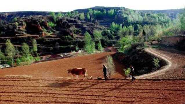 农村土地证有那么重要吗?有什么作用呢?事关每一位农民朋友!