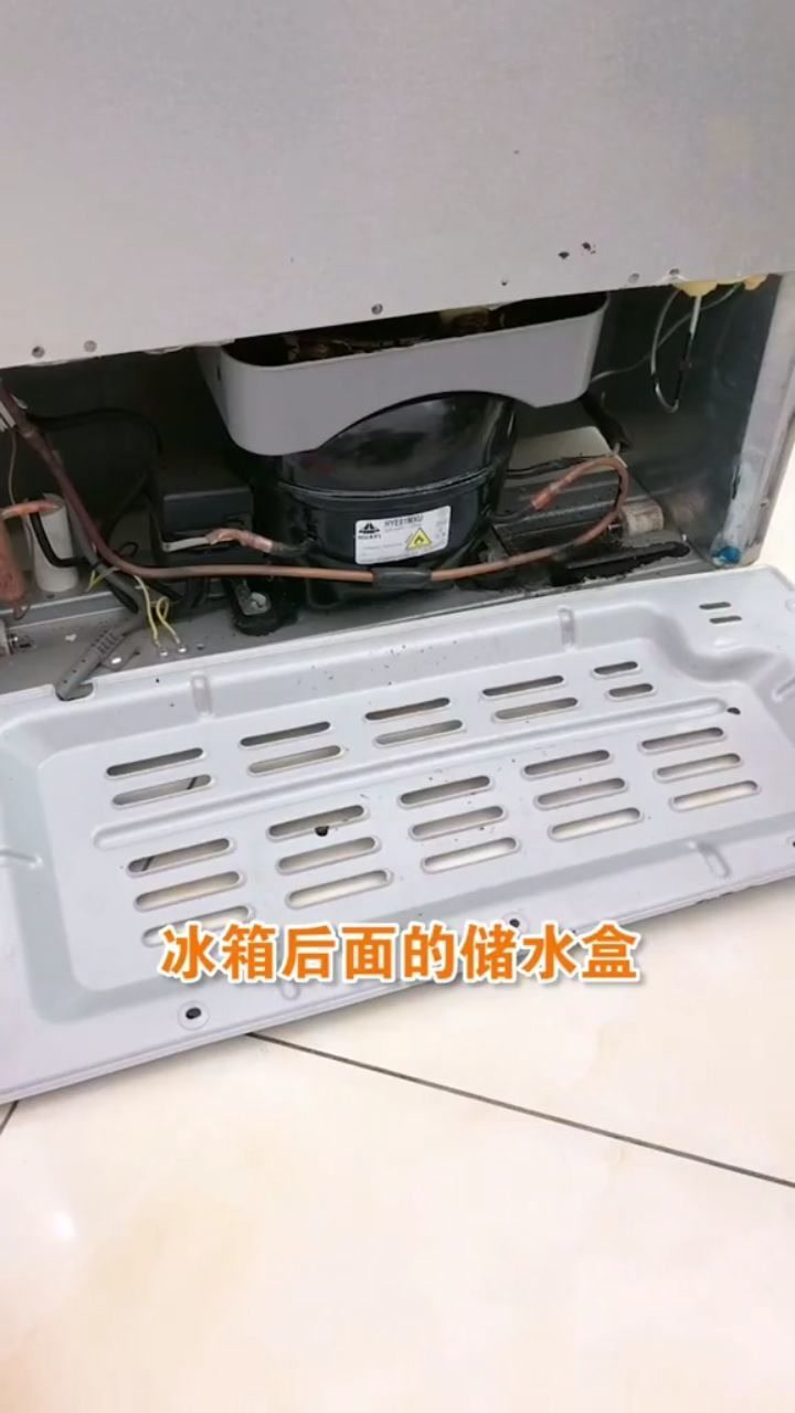 冰箱的储水盒也要定期清理哦