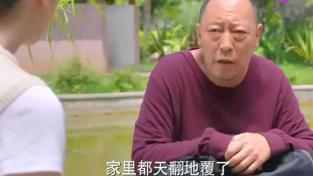 后海不是海:沈海鸥跟姐夫说当年的事,妻子和孩子都是自己的亲人