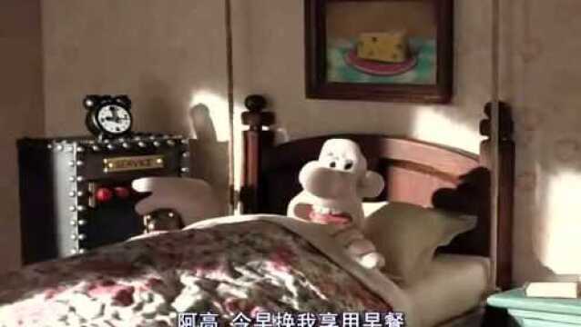 超级无敌掌门狗:这么贴心的狗狗,为主人操碎了心