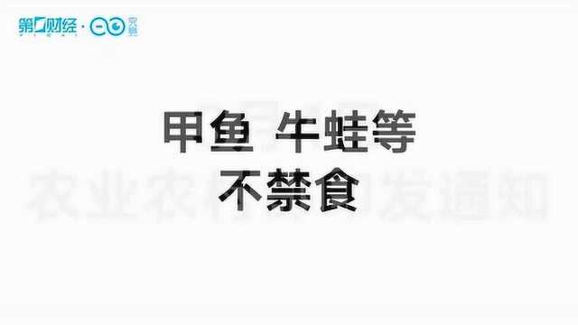 官宣,甲鱼能吃!吃货“喜大普奔”?