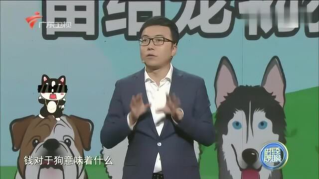 把遗产留给狗?王牧笛提醒观众:回家孝敬父母吧!别连狗都不如