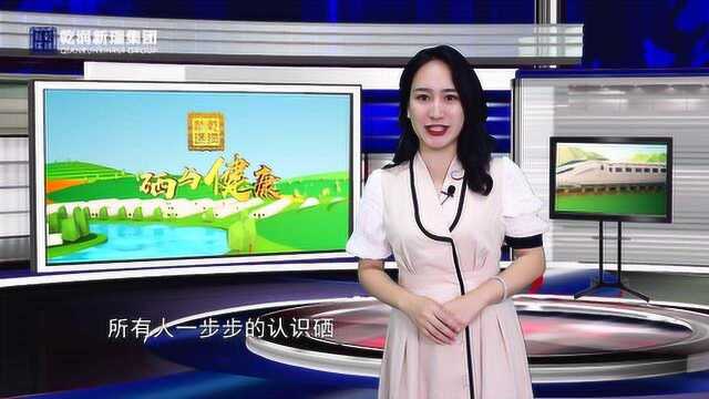 乾润新瑞集团硒与健康第五期715