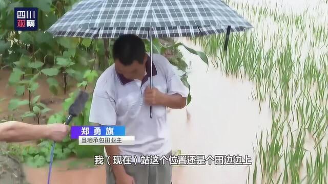 南充仪陇河现“小瀑布” 农作物不同程度受灾