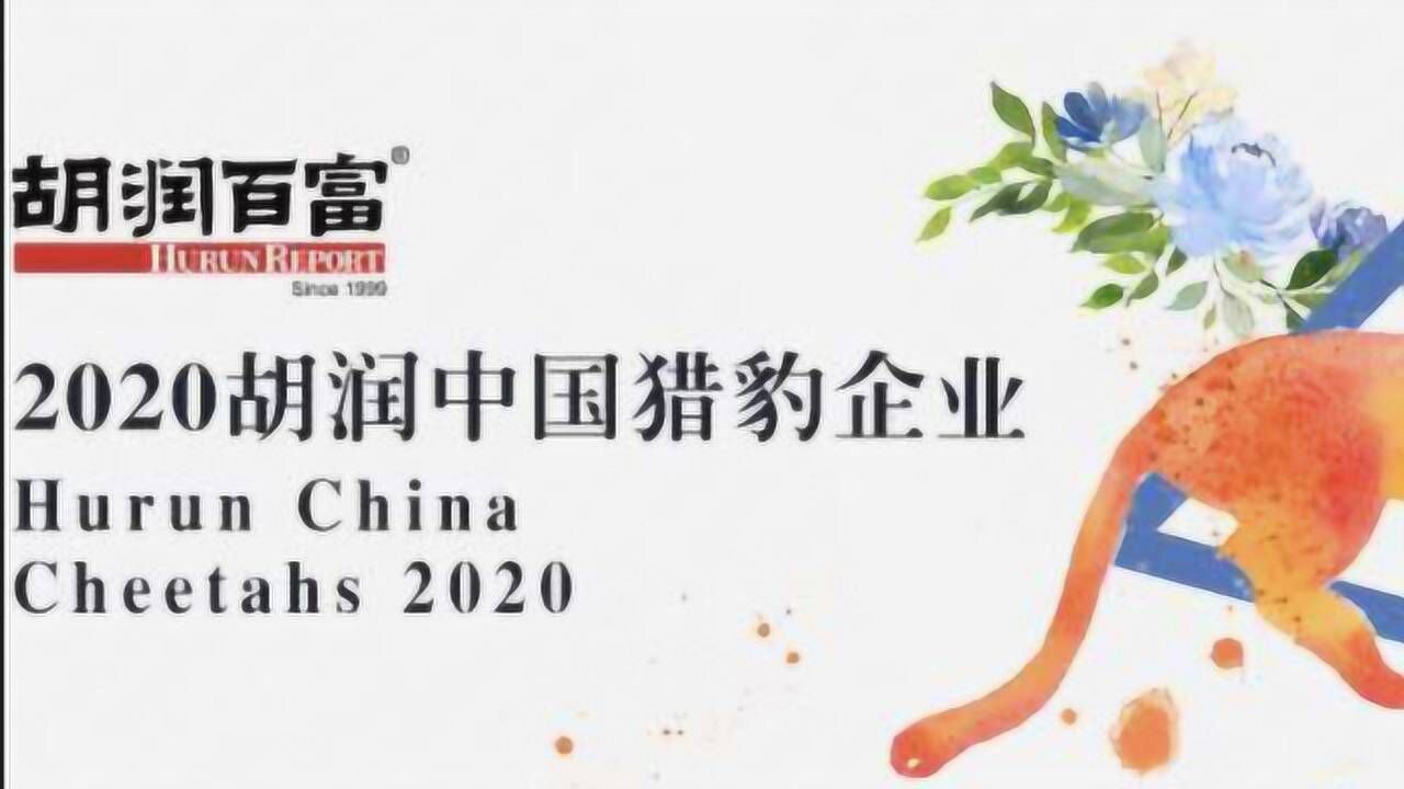 胡润发布2020中国猎豹企业榜单,北京、上海占一半以上