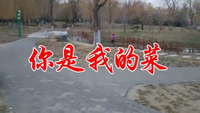 王麟一首《你是我的菜》歌声悦耳动人,真情流露,非常好听!