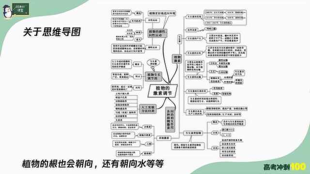 高考生物比较新颖的考点(一):植物的激素调节,导图解析