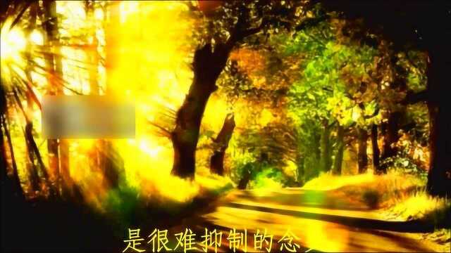 想念一个人的滋味,心知道