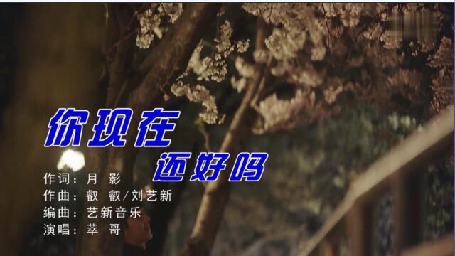 萃哥你现在还好吗 词:月影 曲:叡叡 刘艺新