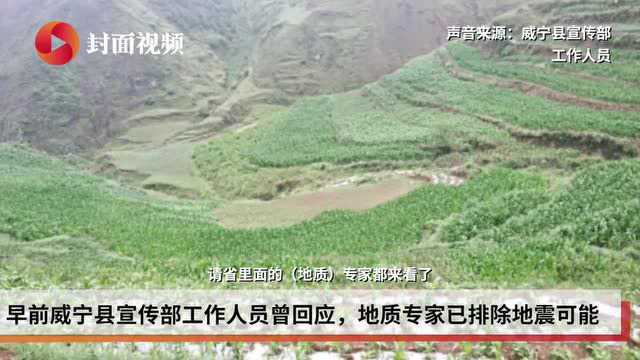 鸟类专家:贵州毕节大山不明声音系黄脚三趾鹑