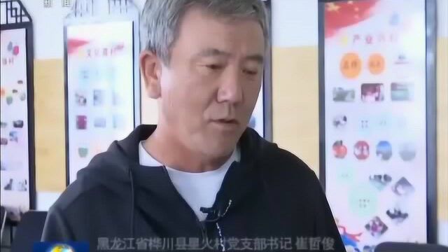 【走向我们的小康生活】星火村里的“脱贫三步走”