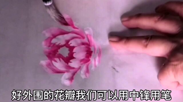 粉色牡丹调色及画法讲解