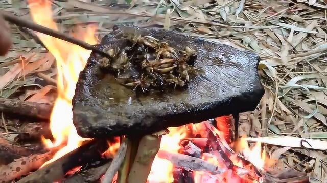 农村大婶野外烤蛐蛐吃给身体补充蛋白,想必这味道一定很不错吧