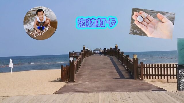 秦皇岛北戴河蔚蓝海岸,海边打卡