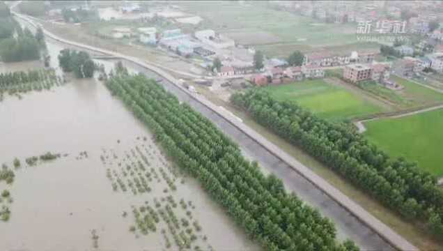 洪峰来临,湖北黄冈如何防汛?