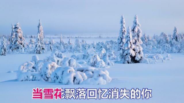 一曲网络情歌《冰雪恋情》