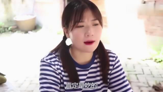 短剧:谁动了我的奶酪?没想同学们被自己的“嘴巴”出卖