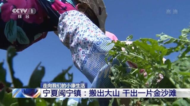 宁夏闽宁镇:搬出大山,干出一片金沙滩|央视网