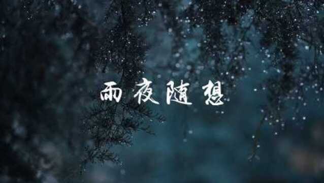 茶乐《 雨夜.随想》静心品茗,聆听雅乐,怡然自得