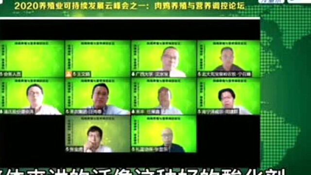 2020年养殖业云峰会,温氏集团谭博士,关于无抗养殖的看法及观点