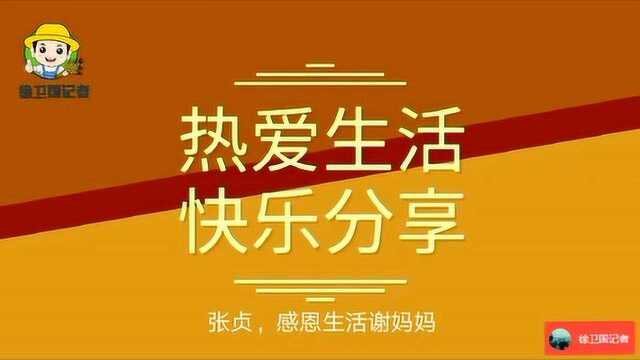 文化惠民御赐衔,感恩生活谢妈妈,张贞演唱